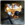 8D82F2FB-EF70-45F4-A125-55B440346E57.png