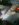42AA7A14-F479-402F-9593-5B5C278F0BF4.jpeg