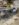 9E01720A-68F6-4477-849E-5081FE9869D7.jpeg