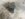 C7182718-03AC-466C-94FF-33D0FCEC5658.jpeg