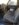 3834D220-A9DF-4B7B-BA2F-189BEC6D0AB2.jpeg