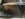 IMG_1625.jpeg