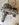 E67A507E-A0AE-47AB-B3E5-0D67A28CA4AB.jpeg