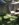49DA03E2-D170-49CD-8181-49790DC35E49.jpeg