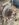 527AAD13-15FF-45A7-B9AD-A05FF7FFC771.jpeg