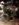 8ACE3A29-2F91-4EF1-B43E-65B43D25899B.jpeg
