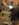 540F221B-0B72-49D9-99EC-EE39BA22BFB9.jpeg
