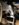 9DEBDE6F-F6C9-4DB8-8FC0-6E997591340F.jpeg