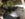FBCC4EFB-B94E-41F3-A44B-2FCD8B62BF11.jpeg