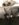 B9F3AA53-3526-4C44-8AF5-D8A97300A4D8.jpeg
