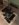 A8CDF257-EE02-4D40-92D9-8F8B9628724D.jpeg