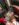 4E10AB8E-D6CD-4C7B-BE1B-1A7D27E64D6B.jpeg
