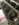 CB3A88E9-D0C2-44DD-95A8-F798B898A36D.jpeg