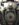 1768B04C-DF4C-4C22-8181-82B1E429C098.jpeg