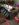 0FFD4794-03DC-4286-AEFF-5C0D3170A0D8.jpeg