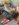 E5B457E6-DDFE-4E31-A210-C47B44E57535.jpeg