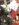8F33B2F2-6685-4A38-AFC5-95CF2087E106.jpeg