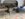 940250CD-0EAF-424E-B774-409EF82EA2A3.jpeg