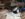 28061B86-248B-47D0-8438-FE2914B17B0A.jpeg