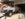 2E63300F-0A1E-4D15-83A7-9D098A1818E3.jpeg