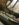 82C961D2-B8B0-442B-9CDB-1977BC5B07E2.jpeg