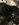 BFCE848D-EEED-4BA9-80BD-A46EB92FB0C0.jpeg