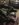 9D8E56DB-6624-41E0-9D4F-3DF7C4D74671.jpeg