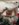 BC5540C0-A8F4-488B-8041-9DE1EAFEB351.jpeg
