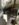 C8F5F012-FCE0-4AD9-9361-084DAFC406E5.jpeg