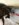 A899CEDA-C22C-49B4-99CC-E9B41B183A2A.jpeg