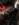 4CD2A4C0-1908-428F-9B67-DD6CA04CC616.jpeg