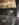 8B7D3DA9-ED94-4C39-A2B4-5D7BA98E02E6.jpeg