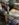169E8618-D8C2-4901-A6E5-4C7B9E3E1A58.jpeg