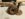 E67546BD-14AB-4CE6-B5FC-F824EF9FF5C0.jpeg