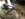 DC4F4C25-9F32-45F7-B518-3ADBA58B50B8.jpeg