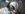 IMG_20190616_184238821[1].jpg