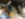 CFA9EF5A-F3BE-4BAD-BBB7-78AFB0EEDC2C.jpeg