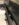 144E3C53-8A6F-4726-B6B1-8E6F0D2A7CF6.jpeg