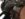 C9992745-CF57-4D0B-8E2A-871F412406DE.jpeg