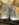 B0207799-2B1D-4FD2-B88C-06DA98FD3BB2.jpeg