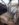 145CDDDE-3B0A-4283-B37D-31B59E363849.jpeg