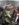 12D6E263-6EEE-4FBB-8E45-A233C3ACBC74.jpeg