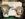 FF788354-B329-4294-AC72-5C5C402BB15B.jpeg