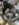 4C7A9897-72DD-4FDB-A464-12DDB0172931.jpeg