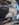 BCC8FF3A-0E07-479B-B6ED-8172EE196131.jpeg