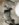 IMG_3169.JPG IMG_3169.JPG