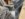 B216E3C3-4053-4BC4-86D5-67D0A050C236.jpeg