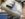 74314649-94F7-496B-9D22-0B1BB74943F0.jpeg