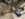 98D14043-F6AE-4BA3-9D6D-48445CB072EF.jpeg