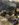 1DFA0C34-AD11-4AF5-92C2-9F765F0BC882.jpeg
